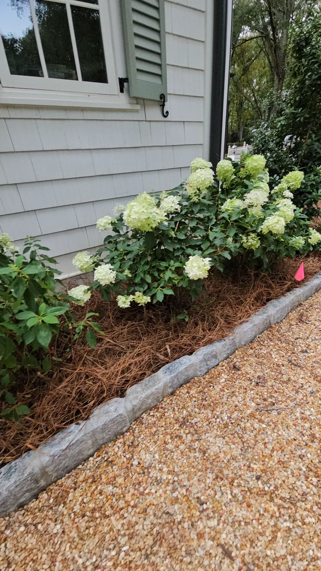Front yard landscaping