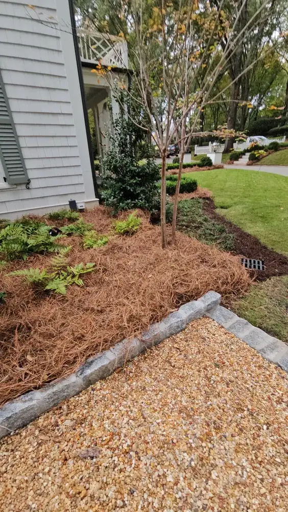 Side yard landscaping