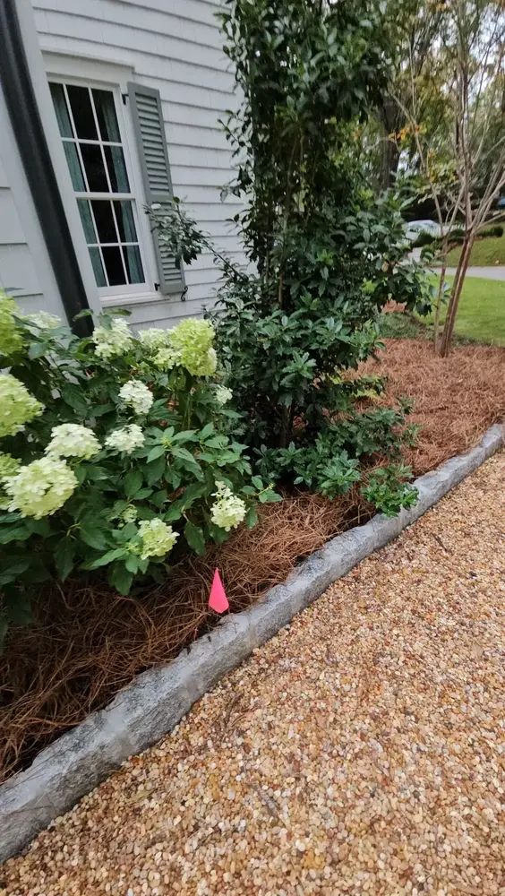 Flower bed with stone edging